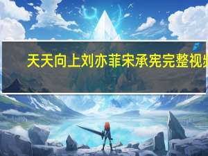天天向上刘亦菲宋承宪完整视频（天天向上刘颖伦）