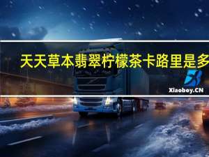 天天草本 翡翠柠檬茶卡路里是多少