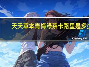 天天草本 青梅绿茶卡路里是多少