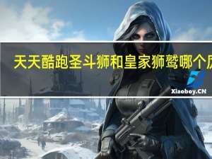 天天酷跑圣斗狮和皇家狮鹫哪个厉害（天天酷跑圣斗狮）
