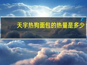 天宇 热狗面包的热量是多少