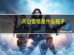 天山雪桔是什么桔子