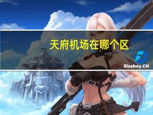 天府机场在哪个区