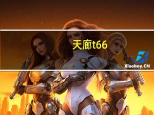 天廊t66（酷派t66手机游戏）
