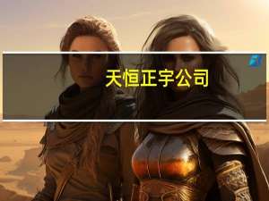 天恒正宇公司（天宇正恒）