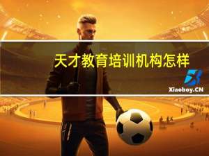 天才教育培训机构怎样
