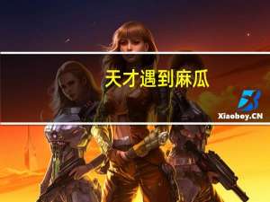 天才遇到麻瓜（天才遇上麻瓜）