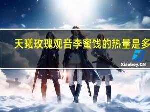 天曦 玫瑰观音李蜜饯的热量是多少