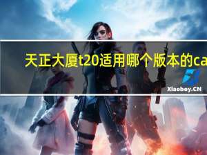 天正大厦t20适用哪个版本的cad？