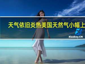 天气依旧炎热美国天然气小幅上涨