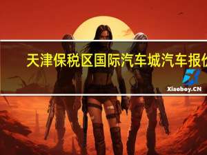 天津保税区国际汽车城汽车报价（天津保税区国际汽车城）