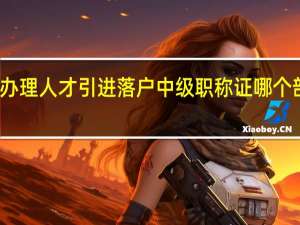 天津办理人才引进落户中级职称证哪个部门来查核