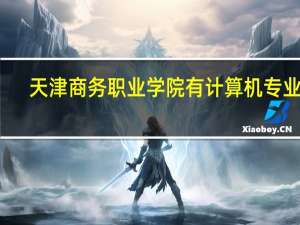 天津商务职业学院有计算机专业吗