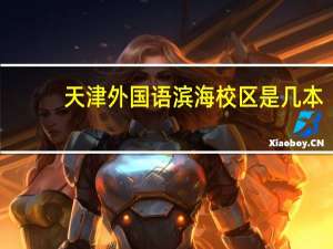 天津外国语滨海校区是几本