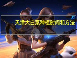 天津大白菜种植时间和方法（天津大白菜简介）