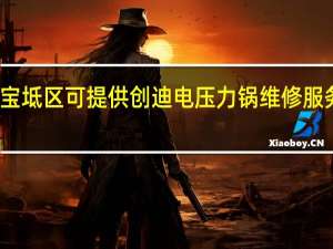 天津宝坻区可提供创迪电压力锅维修服务地址在哪