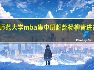 天津师范大学mba集中班赶赴杨柳青进行拓展参观