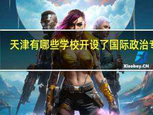 天津有哪些学校开设了国际政治专业