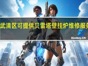 天津武清区可提供贝雷塔壁挂炉维修服务地址在哪