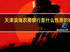天津滨海农商银行是什么性质的银行