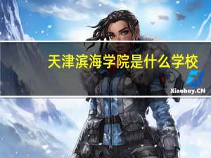 天津滨海学院是什么学校