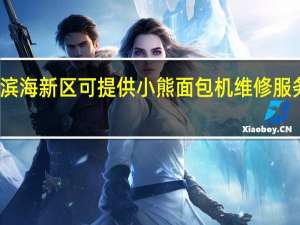 天津滨海新区可提供小熊面包机维修服务地址在哪
