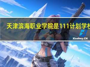 天津滨海职业学院是111计划学校吗