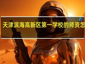 天津滨海高新区第一学校的师资怎么样