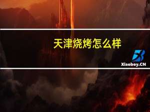 天津烧烤怎么样