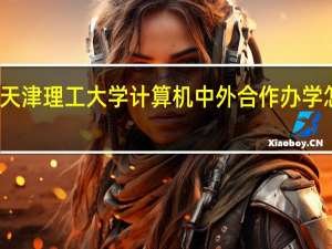 天津理工大学计算机中外合作办学怎么样