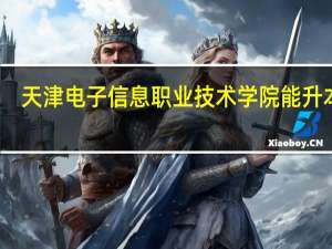 天津电子信息职业技术学院能升本吗