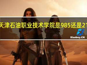 天津石油职业技术学院是985还是211大学