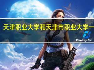 天津职业大学和天津市职业大学一样吗