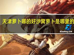 天津萝卜哪的好 沙窝萝卜是哪里的特产