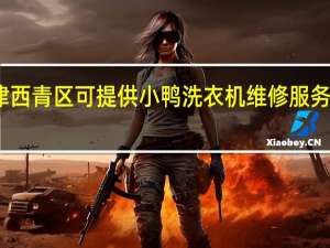 天津西青区可提供小鸭洗衣机维修服务地址在哪