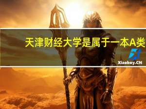 天津财经大学是属于一本A类，还是一本B类