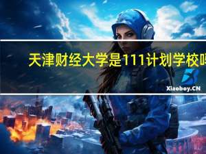 天津财经大学是111计划学校吗