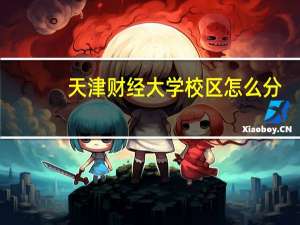 天津财经大学校区怎么分