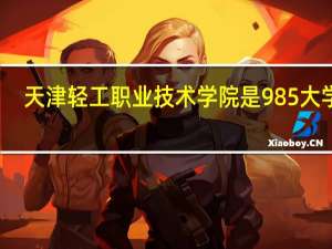 天津轻工职业技术学院是985大学吗