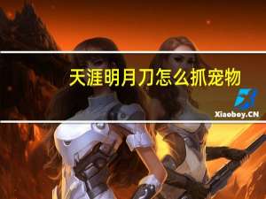 天涯明月刀怎么抓宠物