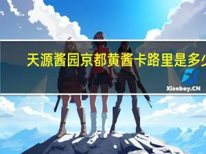 天源酱园京都黄酱卡路里是多少