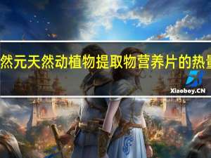 天然元 天然动植物提取物营养片的热量是多少