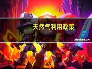 天然气利用政策