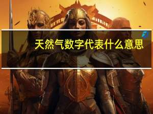 天然气数字代表什么意思