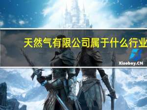 天然气有限公司属于什么行业