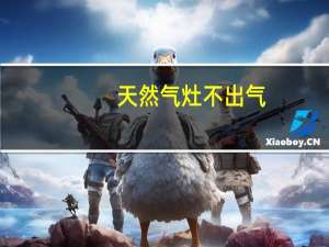 天然气灶不出气