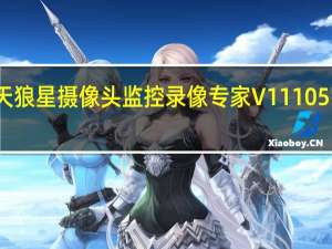 天狼星摄像头监控录像专家 V11105 官方版（天狼星摄像头监控录像专家 V11105 官方版功能简介）