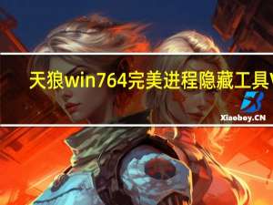 天狼win7 64完美进程隐藏工具 V1.2 绿色版（天狼win7 64完美进程隐藏工具 V1.2 绿色版功能简介）