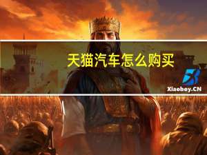 天猫汽车怎么购买（天猫购车流程）