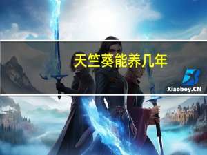 天竺葵能养几年